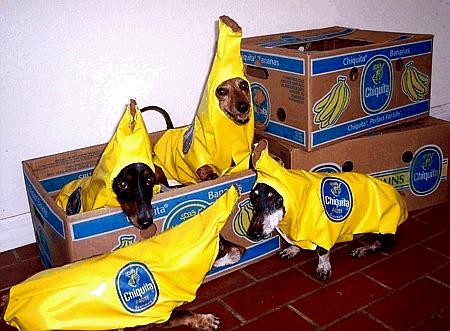 Dole Banana Dogs
